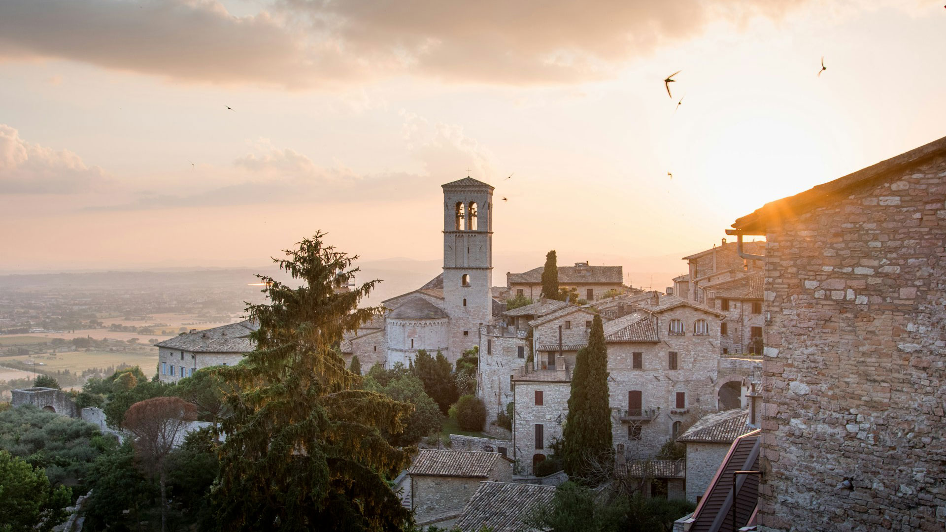 Assisi